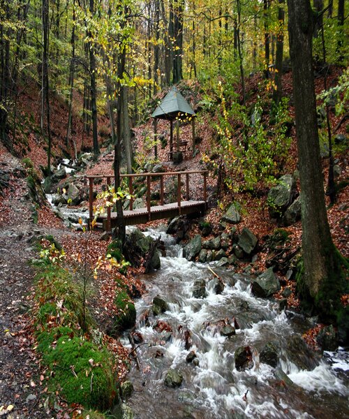 Nouveau Package Nature & Découverte à Spa!